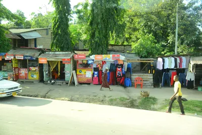 DSC_7760 (Large).JPG